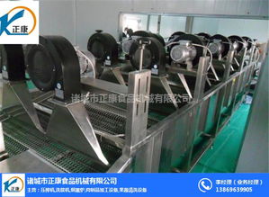 全自動(dòng)葡萄干風(fēng)干機(jī) 葡萄干風(fēng)干機(jī) 正康食品機(jī)械