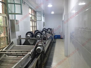 蔬菜加工設備報價 廠家