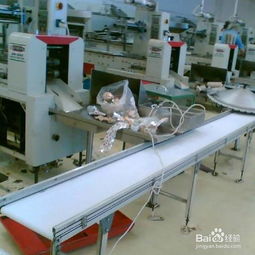 為什么食品設備行業一定要選用專用的食品輸送帶