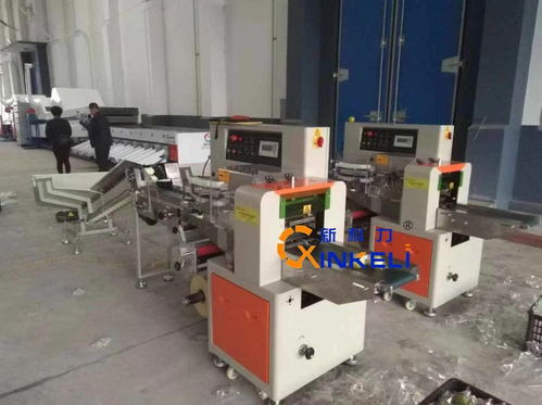 百香果全自動包裝機 精品袋保鮮袋百香果包裝機械